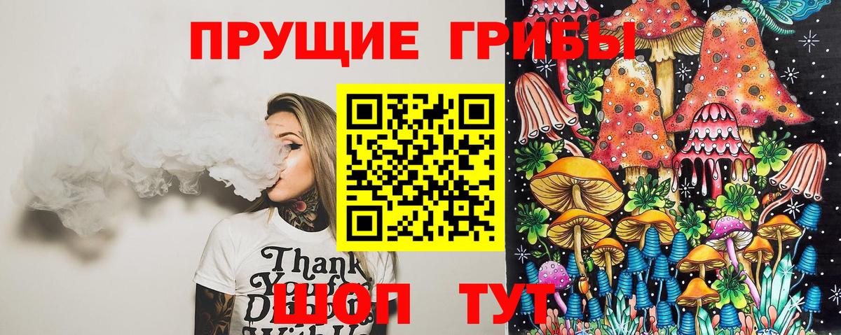 Псилоцибиновые грибы Psilocybe Тверь