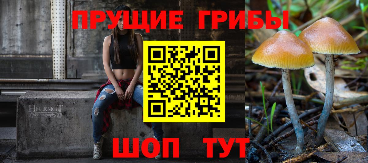 Псилоцибиновые грибы мицелий  Вход с VPN  Тверь  Галлюциногенные грибы ЛСД 